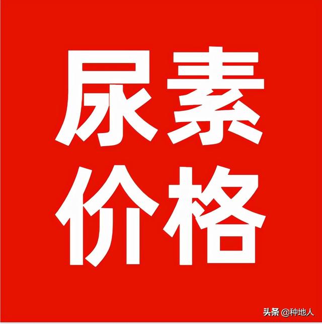 今日全国尿素出厂价格2022年10月28日 