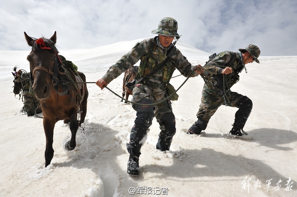 盛世中国：近四十斤重的狮头鹅出现 